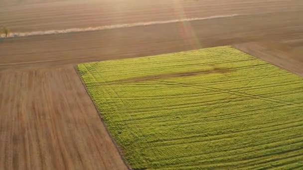트랙터의 항공 사진은 저녁에 검은 흙을 재배 한다. 건기에는 트랙터 를 이용하여 시골에서의 농사 활동 — 비디오