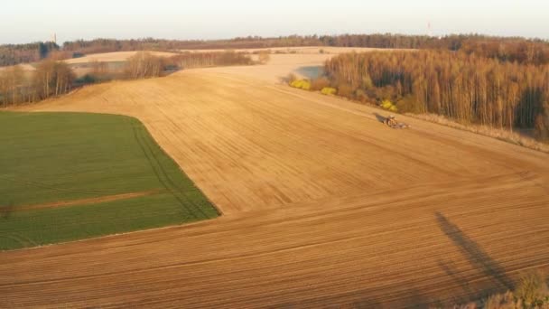 朝の日の出に農場で土地を耕すトラクターの空中風景 — ストック動画