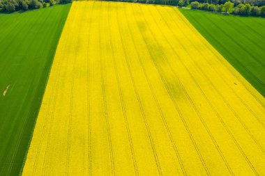 alan ve traktör izleri yukarıdan