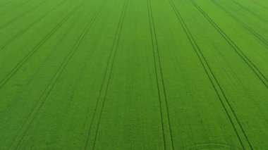 Çekçe 'de yeşil alanın üzerinde uçuyor