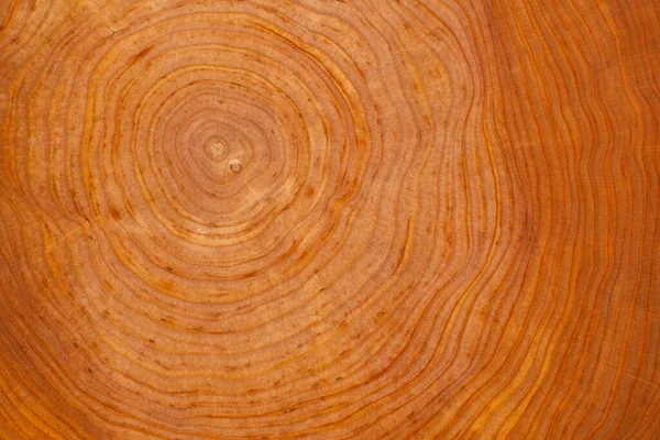 Абстрактна Червона Натуральна Дерев Яна Текстура — стокове фото