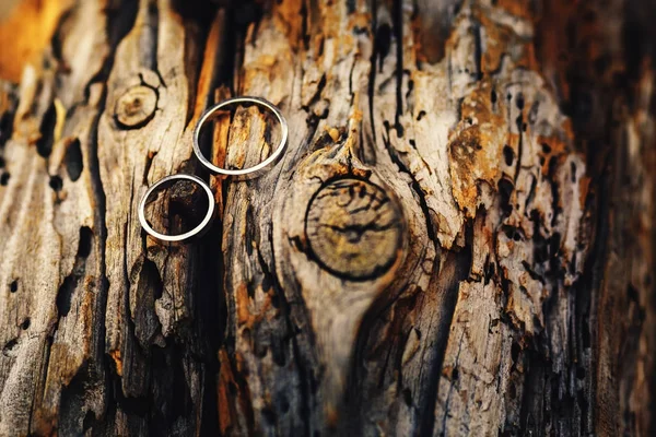 Золотые обручальные кольца на старом дереве в теплых тонах . — стоковое фото