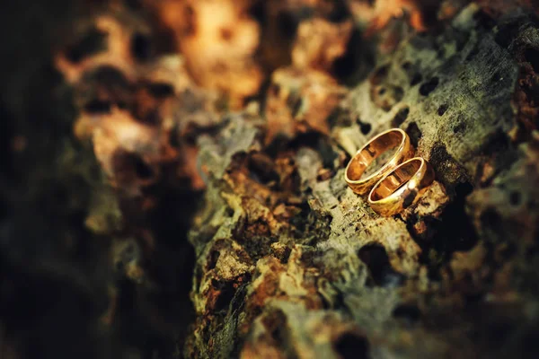 Anéis de casamento de ouro na madeira velha em cores quentes . — Fotografia de Stock