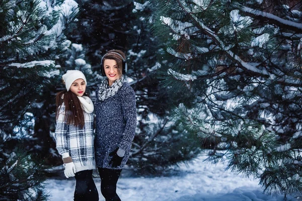 Two girls in sweaters and gloves in winter in the background of pines. — Stock Photo, Image