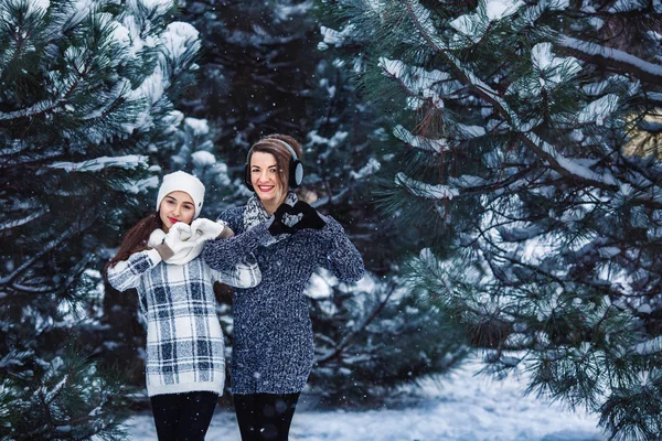 Two girls in sweaters and gloves in winter in the background of pines — Stock Photo, Image