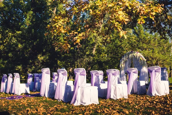 Outono cerimônia de saída em estilo violeta — Fotografia de Stock