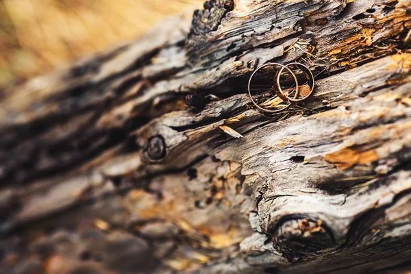 Snubní prsteny na staré dřevo. — Stock fotografie