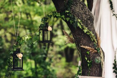 Siyah fenerler, çiçekler ve Ivy ile dal dekore edilmiş