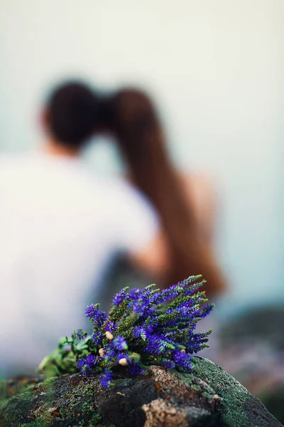 Ein Strauß feldblauer Blumen mit Schnecken liegt auf einem Felsen in der Natur, und dahinter sitzt ein liebendes Paar und umarmt — Stockfoto