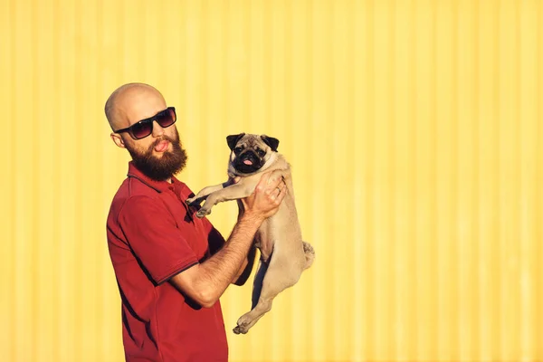 bearded guy in sunglasses is holding pug puppy in his arms against background of yellow wall and looking into camera.