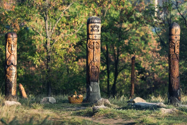 Dřevěné sochy pohanských bohů na ostrově Khortitsa ve městě Zaporozhye, Ukrajina — Stock fotografie