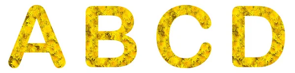 Алфавіт шрифту квітів a, b, c, d, зроблений з живих квітів кульбаби — стокове фото