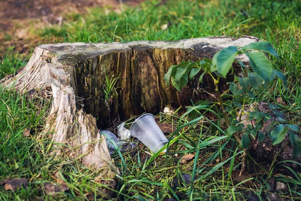 Kütüğün yanındaki çimlerin üzerinde plastik bardaklar var. Çevre kirliliği kavramı. — Stok fotoğraf