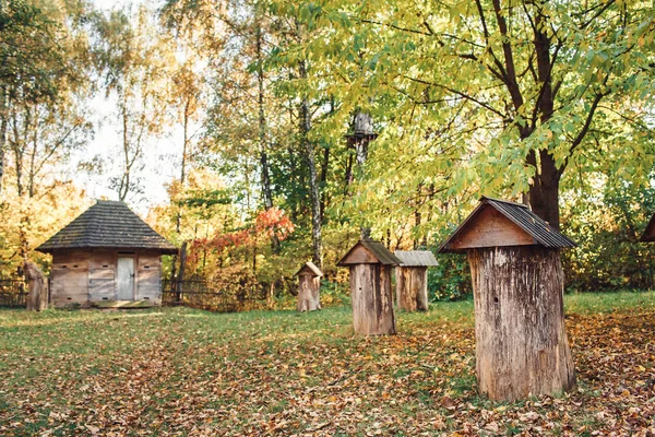 Colmeias de madeira de troncos no outono no jardim da aldeia . — Fotografia de Stock