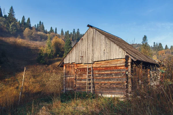 Old log cabin in mountains in forest. — Stock Photo, Image