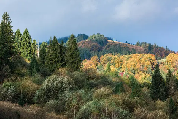Montaña otoño bosque mixto con niebla en la cima de la montaña . — Foto de Stock
