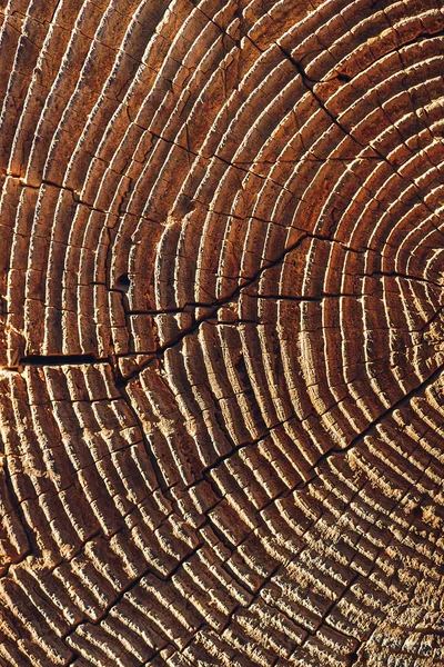 Close up ξύλινη κομμένη υφή με ρωγμές. — Φωτογραφία Αρχείου