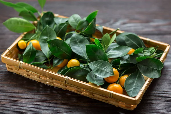 Citrus calamondine met bladeren in mand op houten plank. — Stockfoto