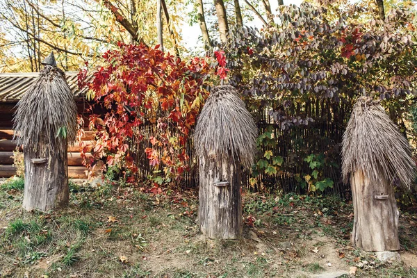 Wooden Beehives Logs Autumn Village Garden — 스톡 사진
