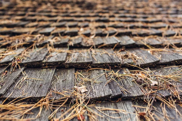 Düşmüş Çam Iğneleriyle Eski Ahşap Bir Çatıya Yakın Çekim — Stok fotoğraf