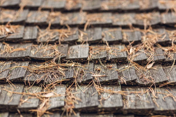 Düşmüş Çam Iğneleriyle Eski Ahşap Bir Çatıya Yakın Çekim — Stok fotoğraf