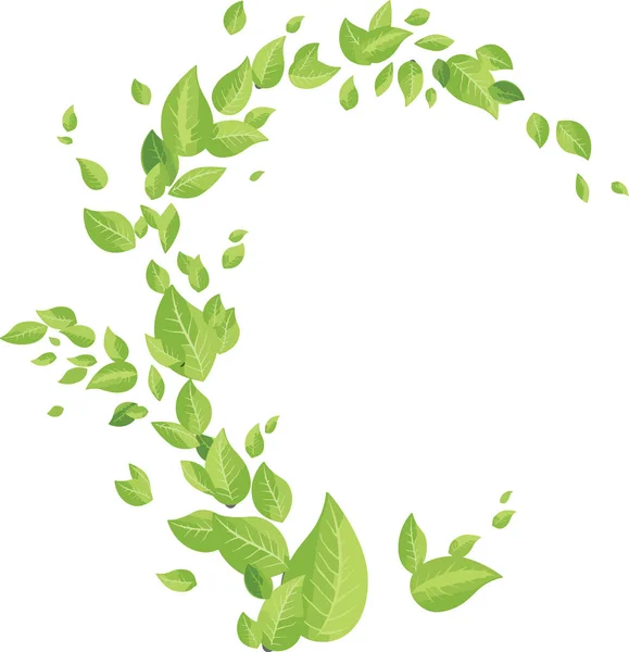 Green leaves vector elements — Stock Vector