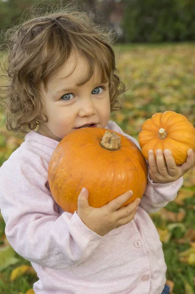 Adorável menina abraçando abóboras em um campo de outono — Fotografia de Stock