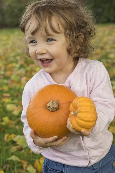Adorável menina abraçando abóboras em um campo de outono — Fotografia de Stock