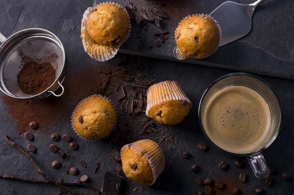 Plain Mini Muffins Chocolate Chips Dark Grey Stone — Stock Photo, Image
