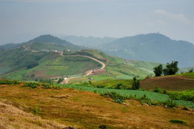 Phu küvet Berk dağ toplayan