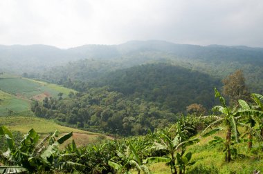 Güzel manzara ile gökyüzünde bulutlar dağ. Phu küvet Berk hill Tayland