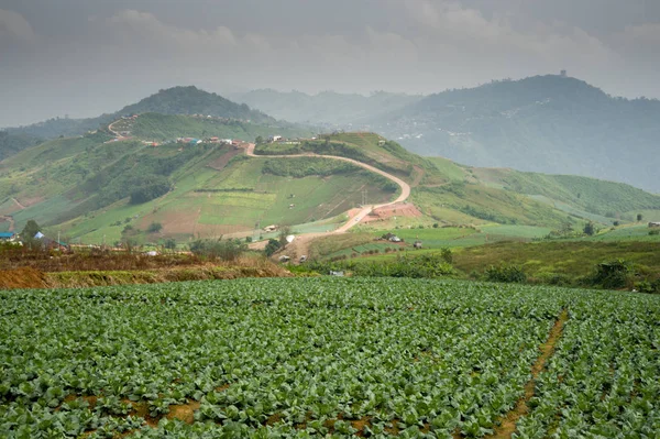 Eine Berglandschaft von phu tub berk — Stockfoto