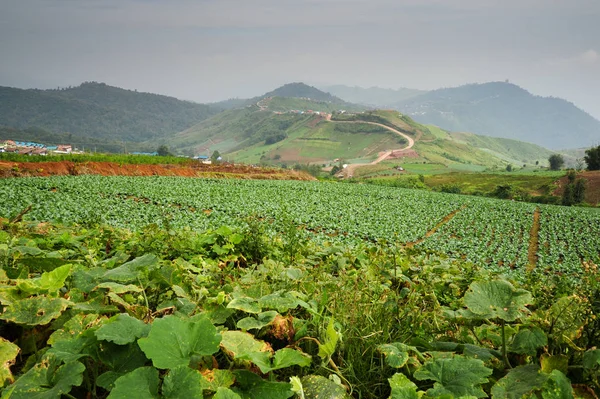 Eine Berglandschaft von phu tub berk — Stockfoto