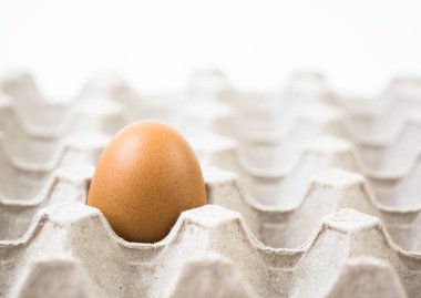 geri dönüşüm kağıt tepsisinde bir yumurta