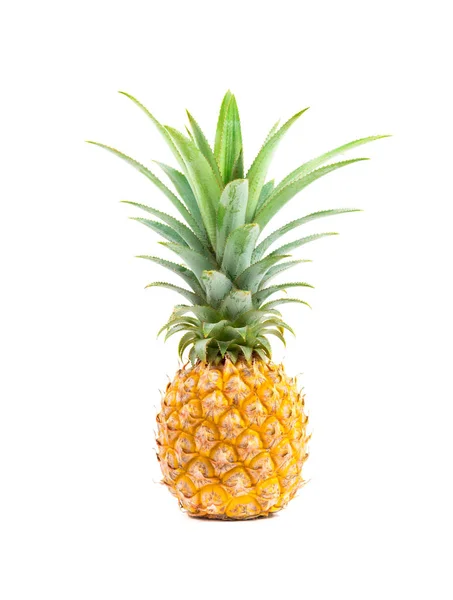 Ananas Fresco Sfondo Bianco Concetto Estivo Tropicale — Foto Stock