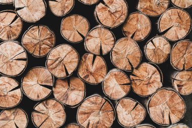 Kaba ahşap parçalar, güzel doğal koyu kahverengi çizgiler ve arka plan için yaş işareti.