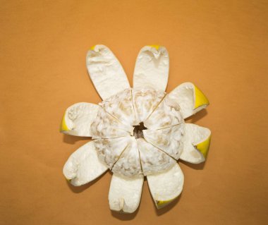 pomelo turuncu bir arka plan üzerinde