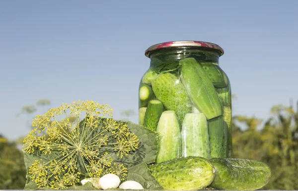 cucumbers in a jar canned, Pickled cucumber