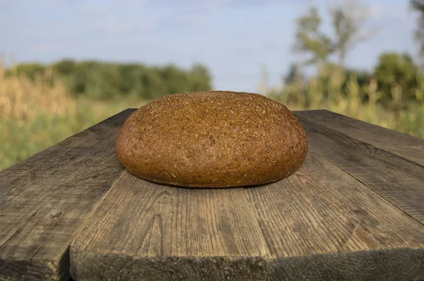 Круглий хліб на фоні природи — стокове фото