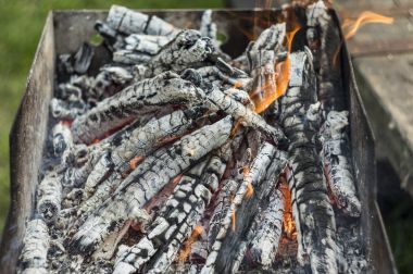 Odun kömürü, mangal, mangal, yangın