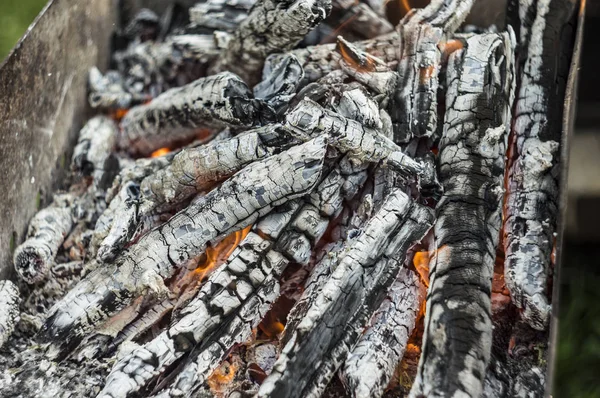 Charcoal, barbecue, brazier, fire — Stock Photo, Image