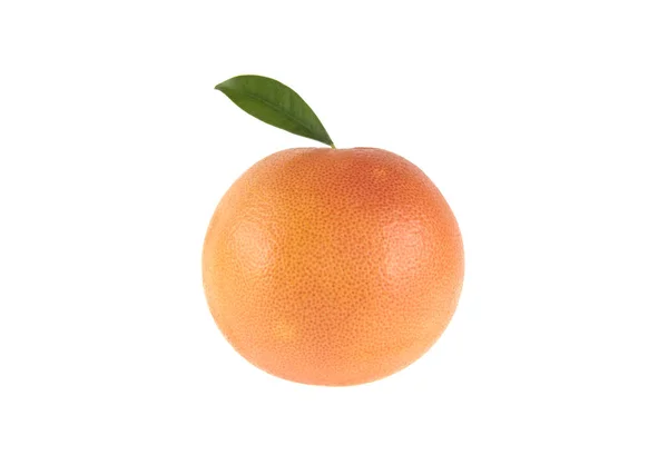 Грейпфрут на изолированном белом фоне — стоковое фото