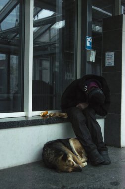 evsiz bir adam ve bir köpek