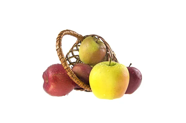 Wet, clean apples in a basket on a white background — Stock Photo, Image