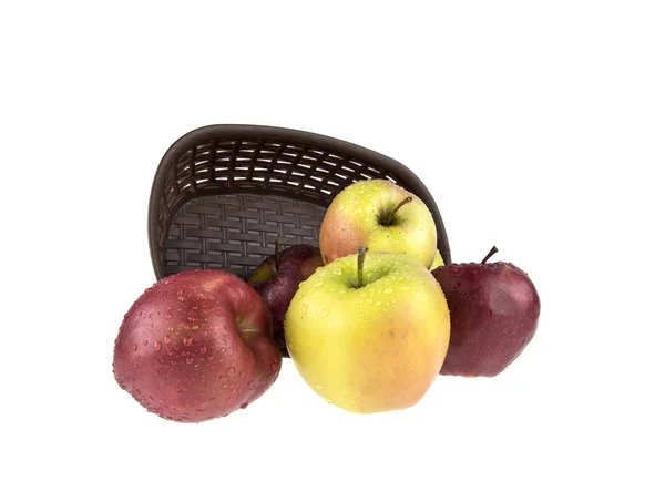 Mokre, czyste jabłka w koszu na białym tle — Zdjęcie stockowe