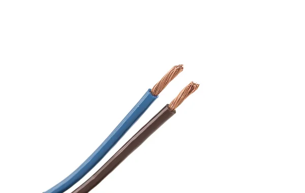 Azul y marrón dos cables sobre un fondo blanco —  Fotos de Stock