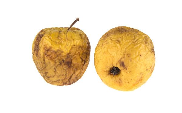 two rotten apples on isolated white background