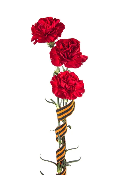 Três flores de um cravo enfaixado com a faixa de São Jorge — Fotografia de Stock