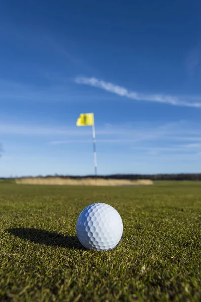 Çimlerin Üzerinde Golf Topu — Stok fotoğraf