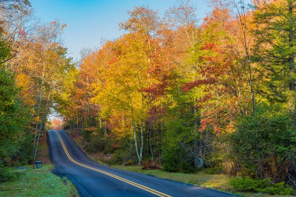 秋の紅葉を田舎道 — ストック写真